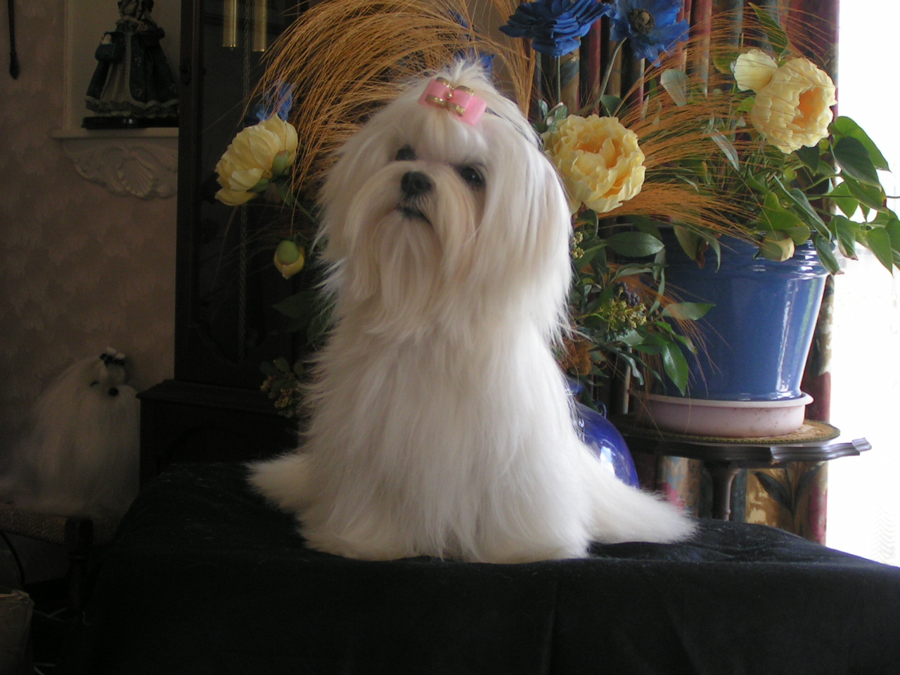 Hugo Story